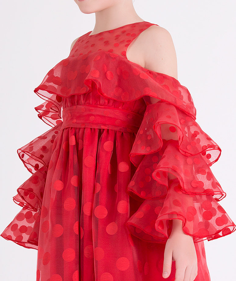 Product Image of Polka Ruffles Dress #2