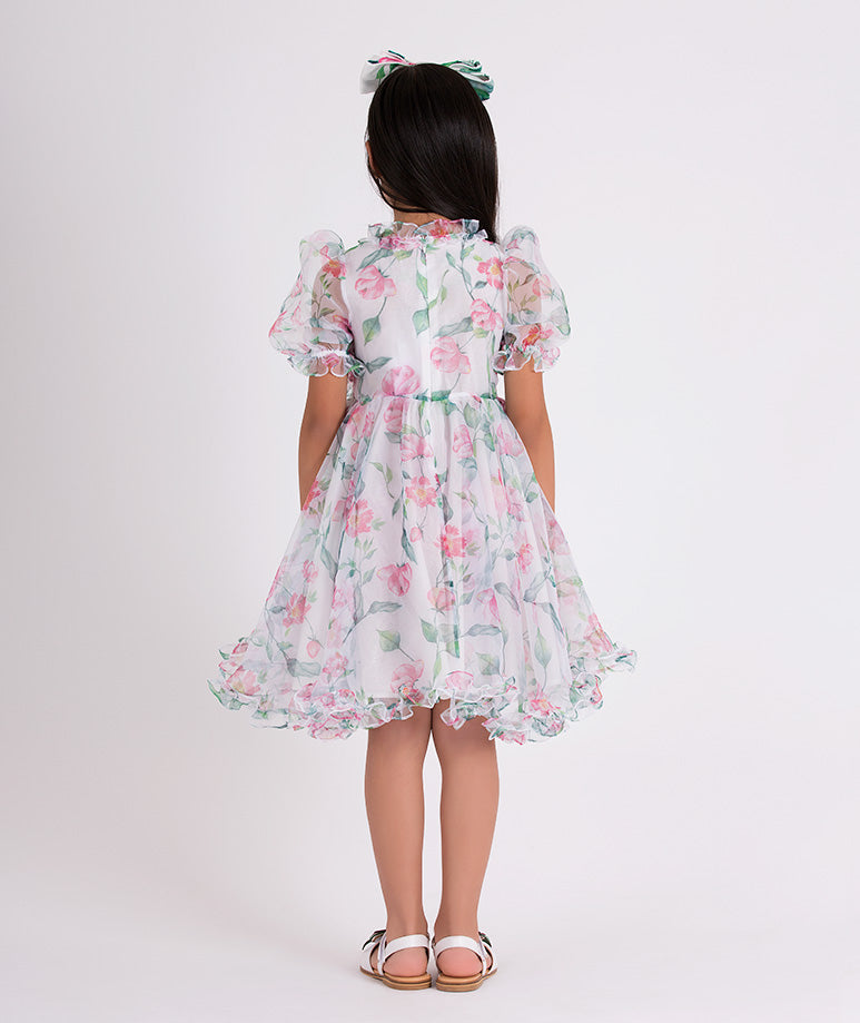Product Image of Enchanting Organza Dress #4