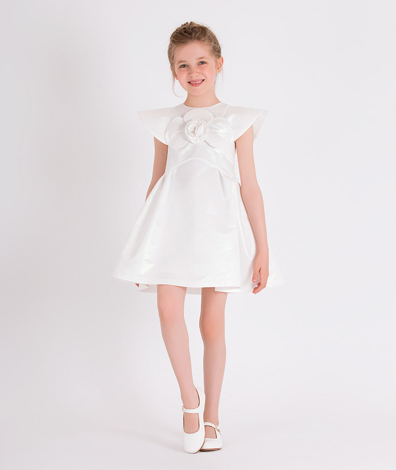 Product Image of 3D Rose Appliqué Dress #1