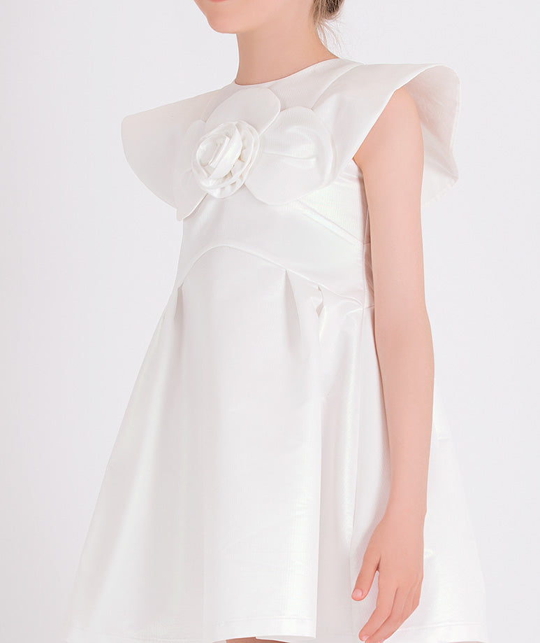 Product Image of 3D Rose Appliqué Dress #2