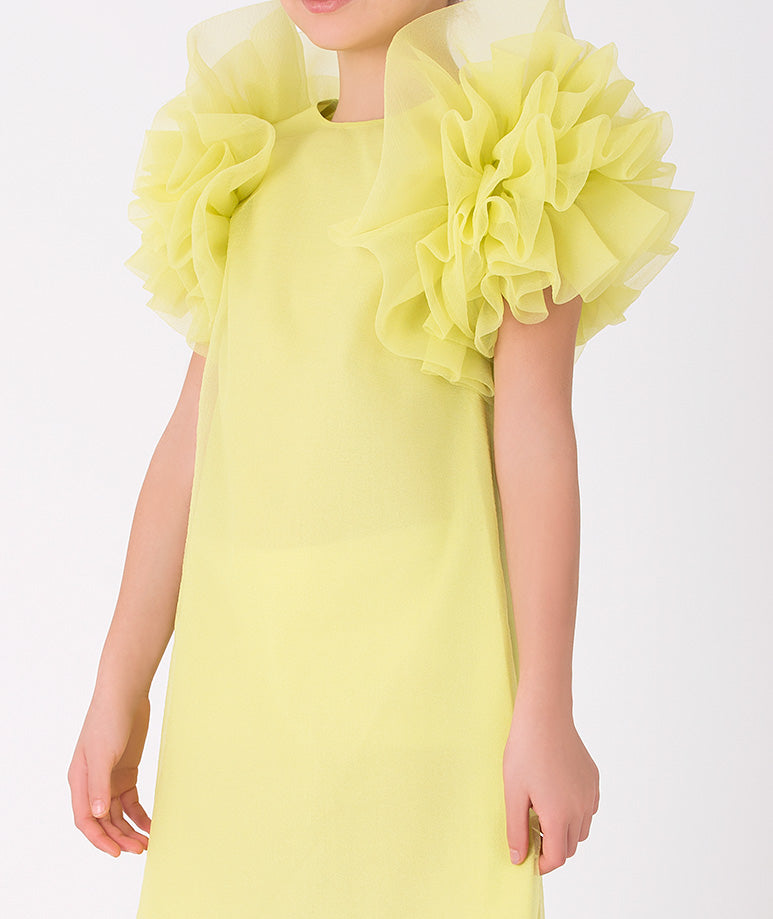 Product Image of Enchanting Ruffles Dress #2