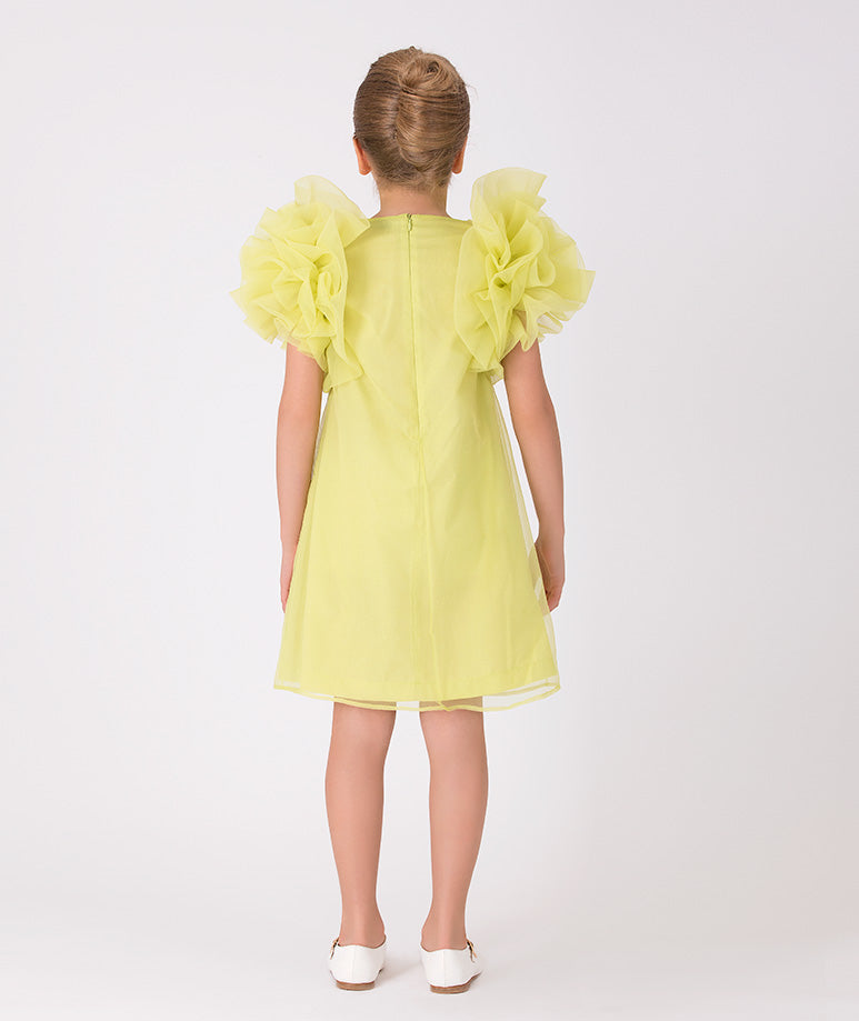 Product Image of Enchanting Ruffles Dress #3