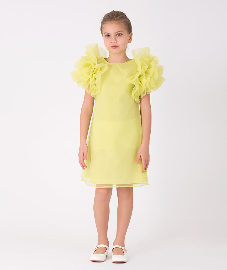 Product Image of Enchanting Ruffles Dress #1