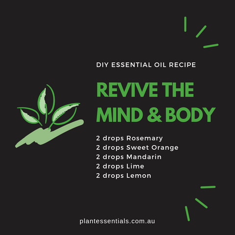 revive essential oil blend recipe