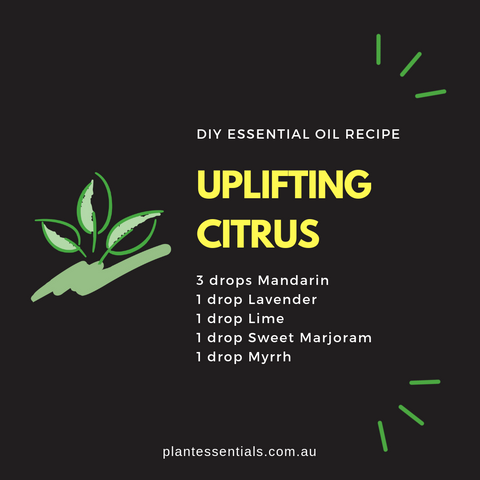 uplifting citrus essential oil blend recipe