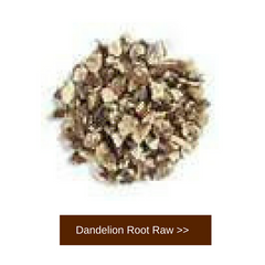 dandelion root raw plant essentials