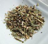 herb robert tea plant essentials