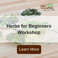 herbs for beginners workshop