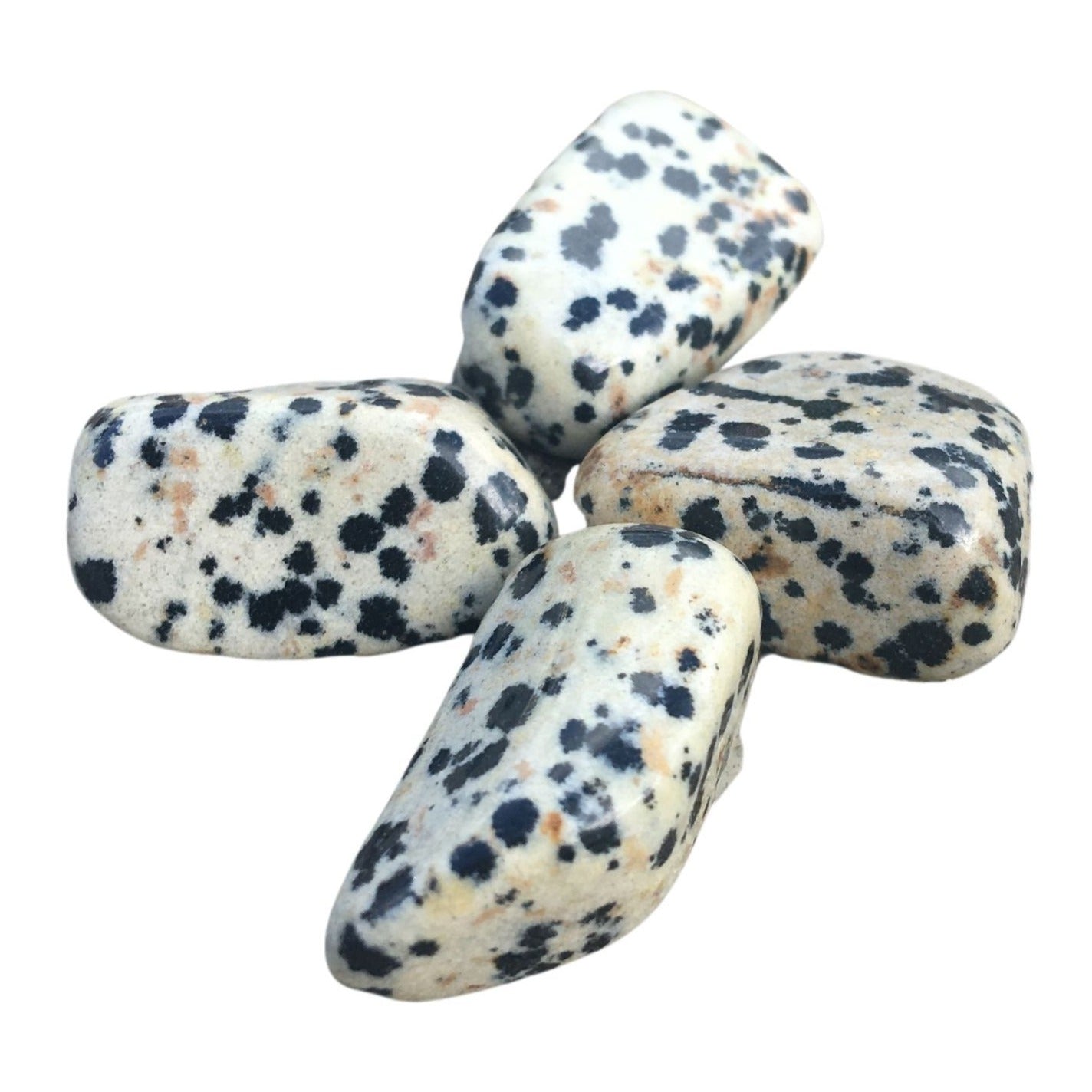 dalmation jasper