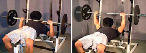 Bench Press