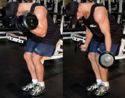 Vince Gironda Dumbbell Curl