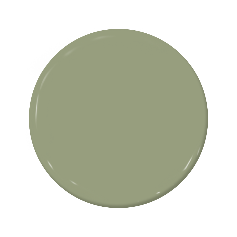 Saguaro C2-665