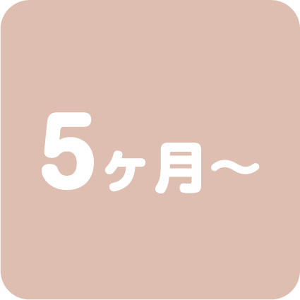 5ヶ月から