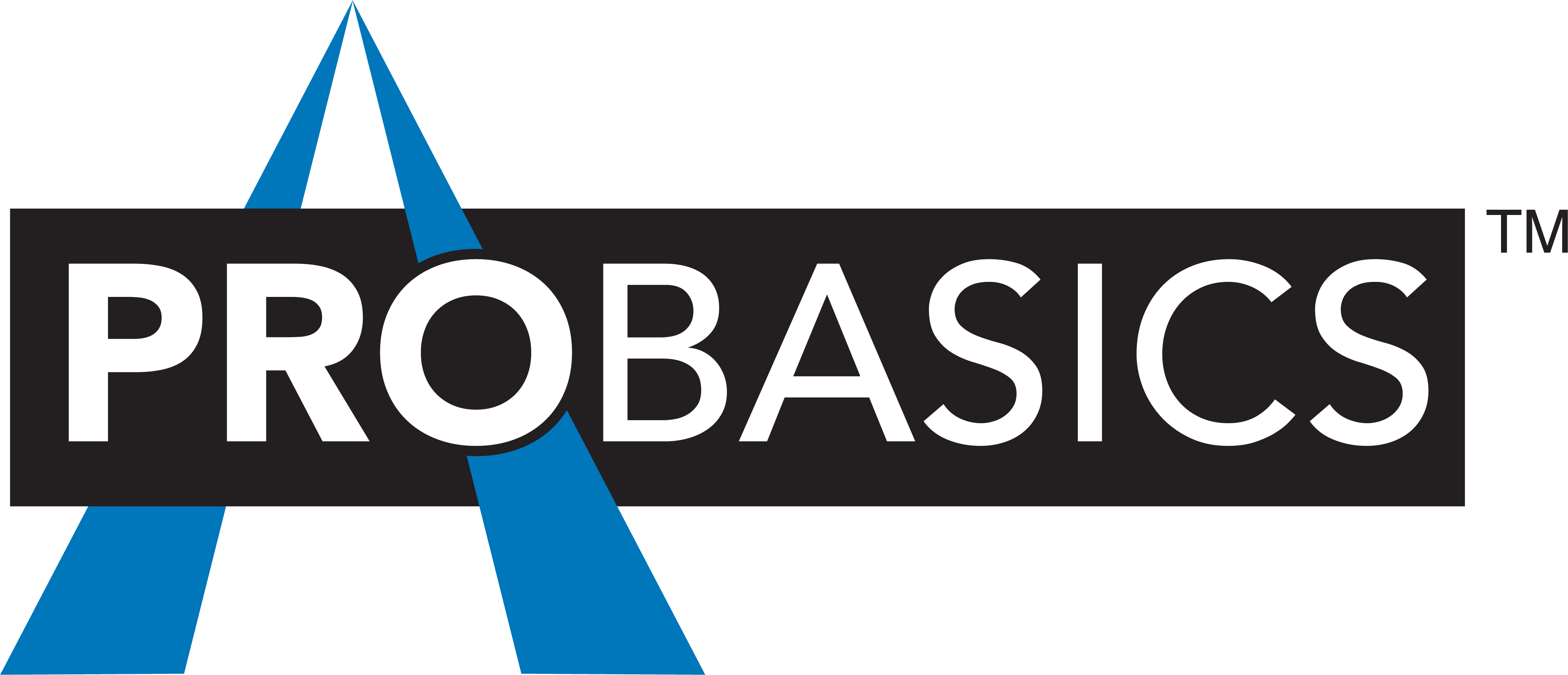 Probasics Logo