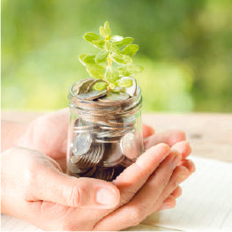 Hands holding a cup with change and a plant in it