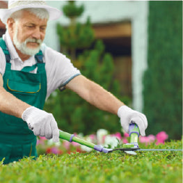 An elderly man cutting hedges