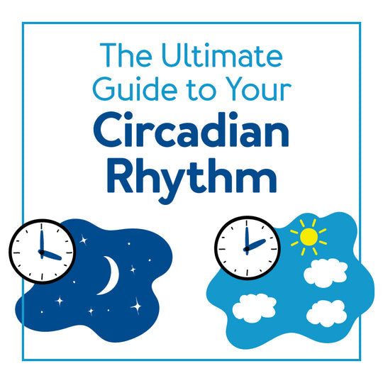 A clock graphic showing nighttime and daytime. Text, the ultimate guide to your circadian rhythm