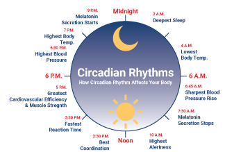 What happens if you don't get enough sunlight: Irregular sleep-wake cycle (circadian rhythm)