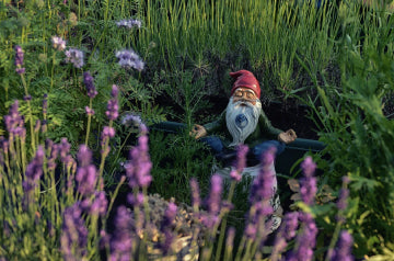 A lawn gnome doing yoga in a garden