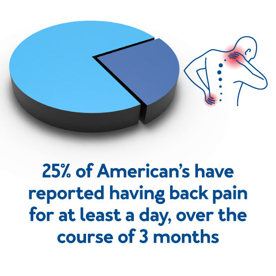 A pie chart graphic picture,25% of Americans have reported back pain for at least a day, over the course of three months