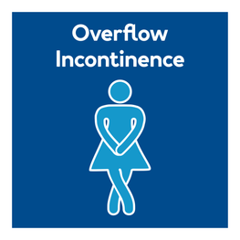 overflow incontinence canine