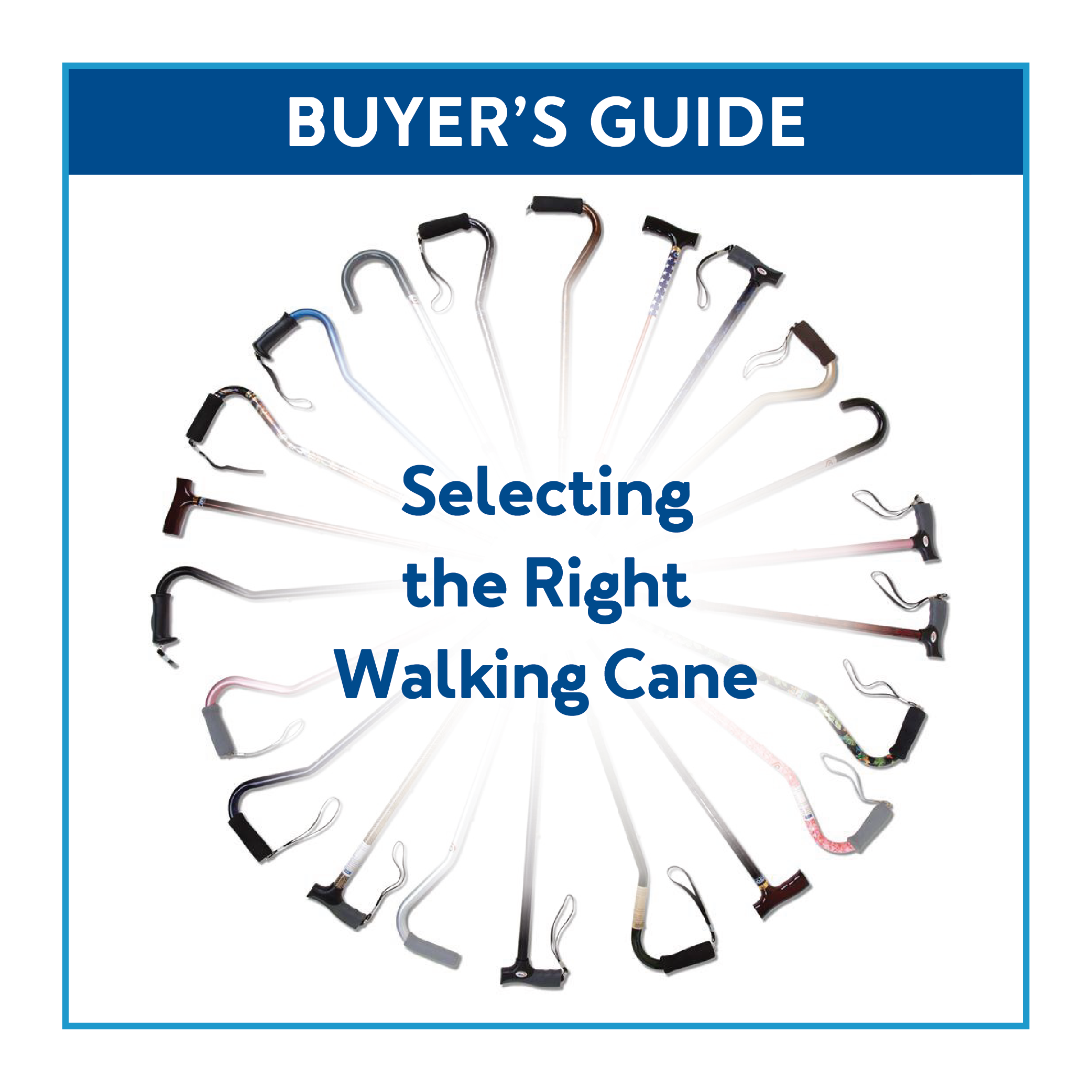 Buyer's Guide Selecting the Right Walking Cane