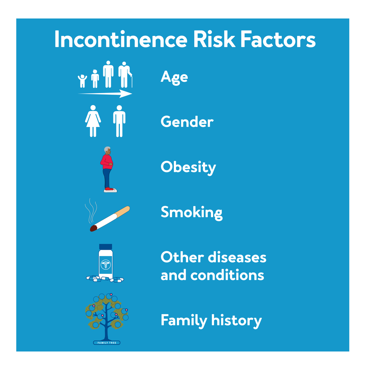 Incontinence risk factors describing by graphics and text Age, Gender, Obesity, Smoking, Other diseases and conditions and Family History