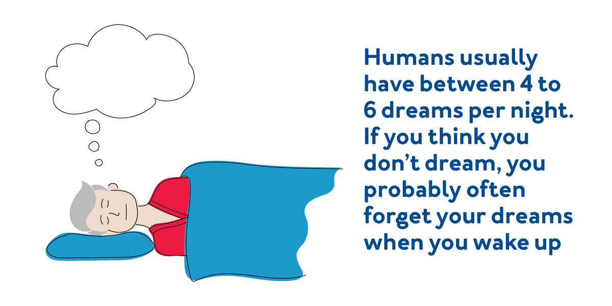 Sleep Facts: Humans usually have between 4 to 6 dreams per night. If you think you don't dream, you probably often forget your dreams when you wake up.