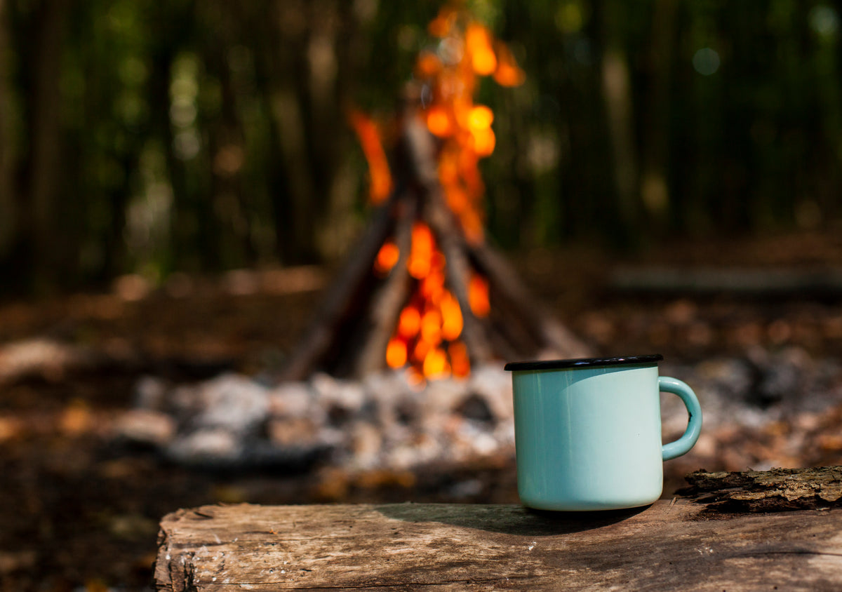 A cup sitting on a log in front of a campfire