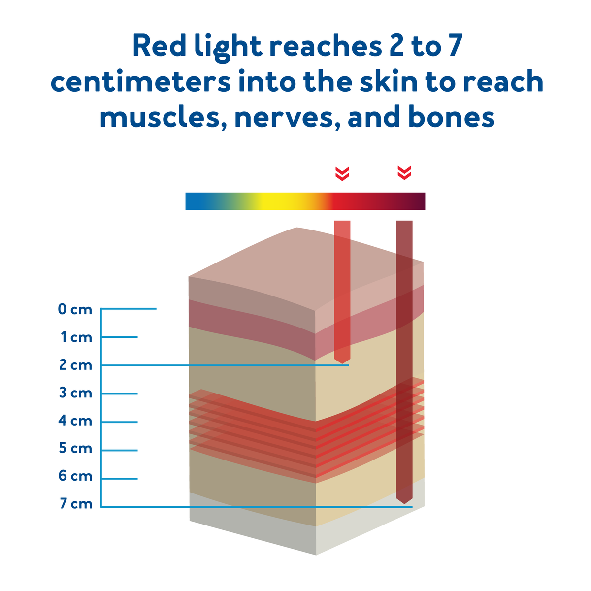 Does Red Light Therapy Really Work?