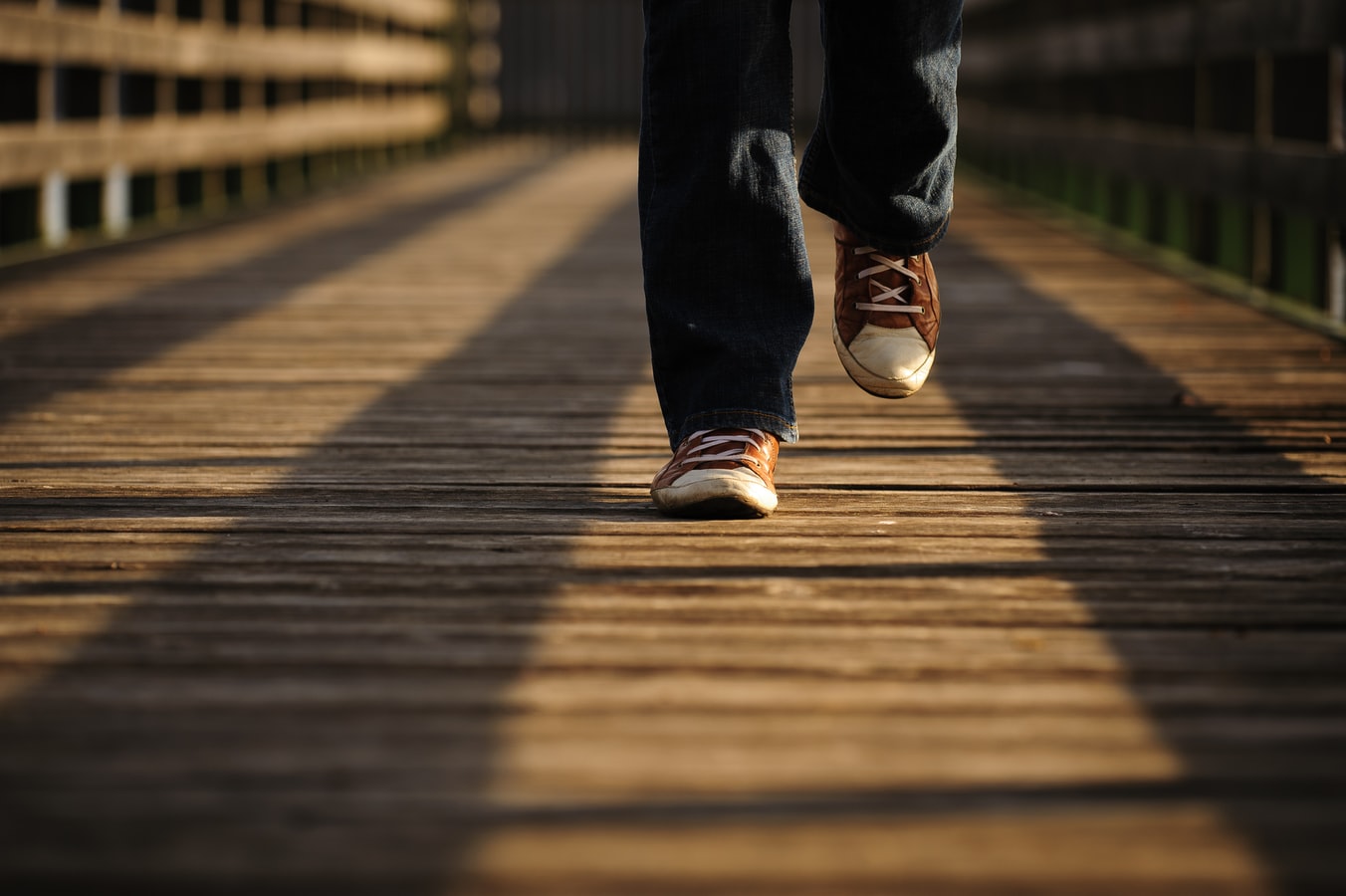 A shot of feed on a wood path