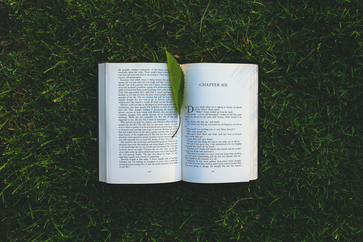 An open book sitting on grass with a leaf on its pages