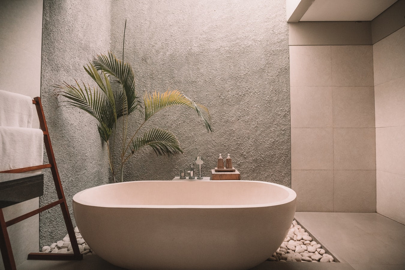 A bathtub next to a palm tree