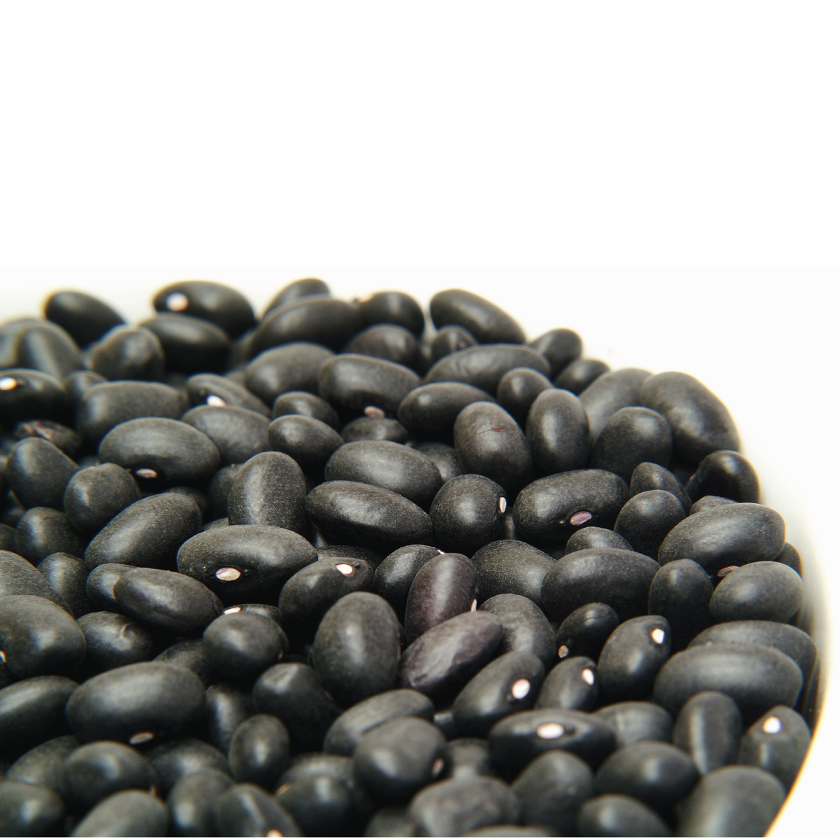 Black beans on a white background