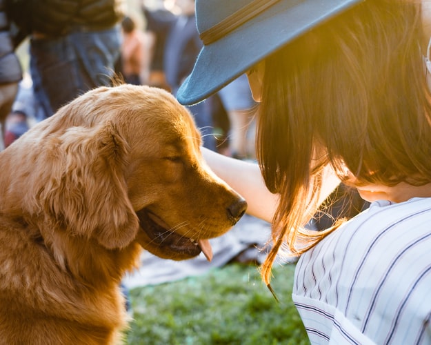 A woman petting a golden retriever