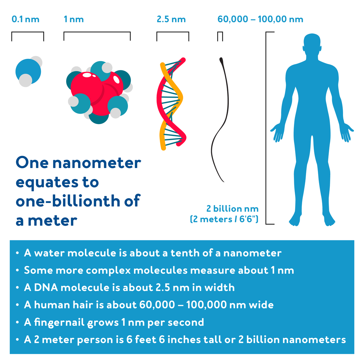 One nanometer equates to one billionth of a meter shows with graphics of cell to body Further details are provided below