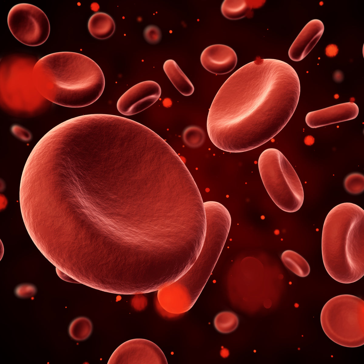 A graphic of blood cells