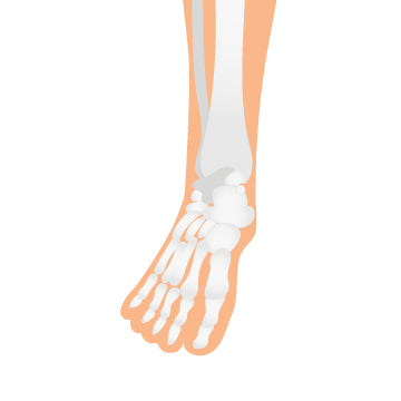 A graphic of a foot with xray of bones