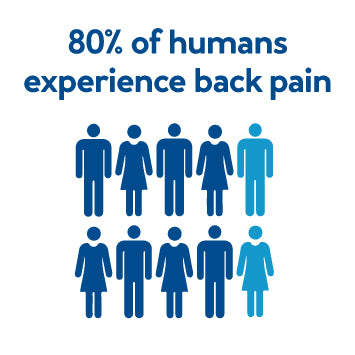 80% of humans experience back pain