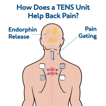 Mid-Back / Erector Spinalis Electrode Pad Placement for EMS & TENS