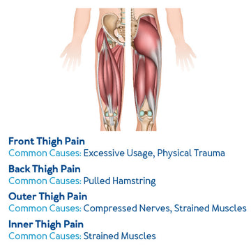 Front, Back, Outer and Inner-Thigh Pain Common Causes, Further details are provided below.