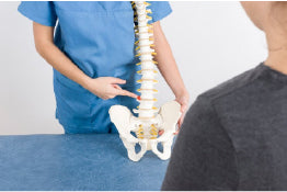 A doctor pointing to a spine