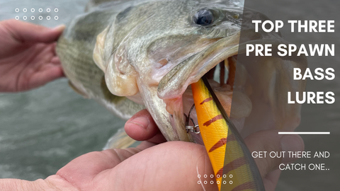 TOP 3 Pre-Spawn Bass Fishing Lures (Must Use) – ReelSonar