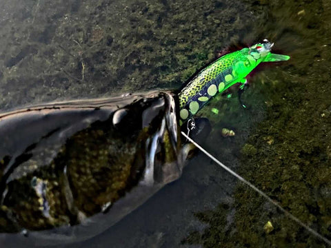 Unleashing the Power of Vibrating and LED Light Jerkbaits: A Must