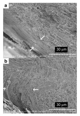 Consonant_Skin_Hydration