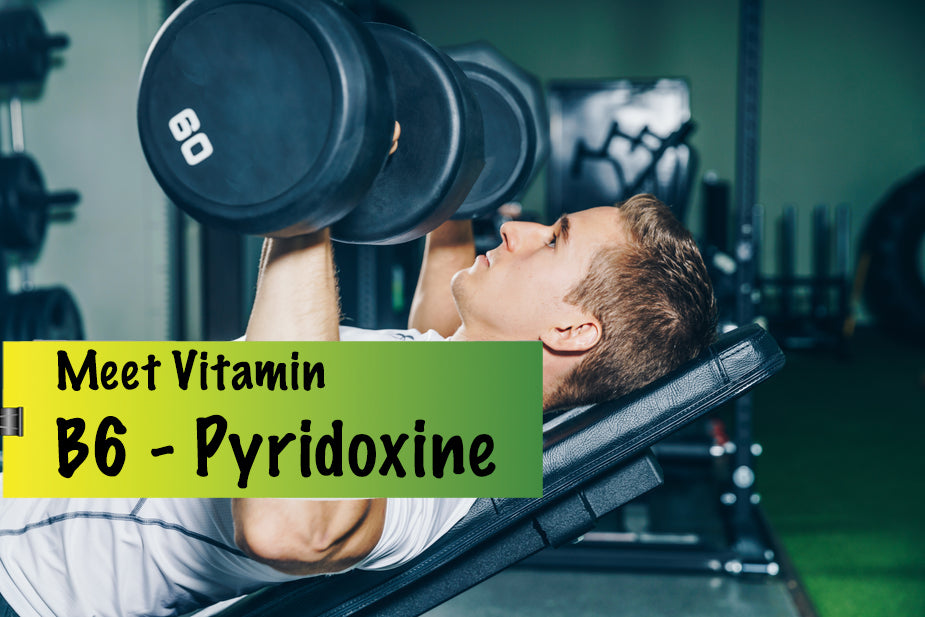 Vitamin B6, also known as pyridoxine, is a water-soluble vitamin that is essential for many bodily functions.