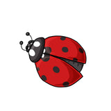 Ladybug Red and Black