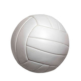 Volleyball white