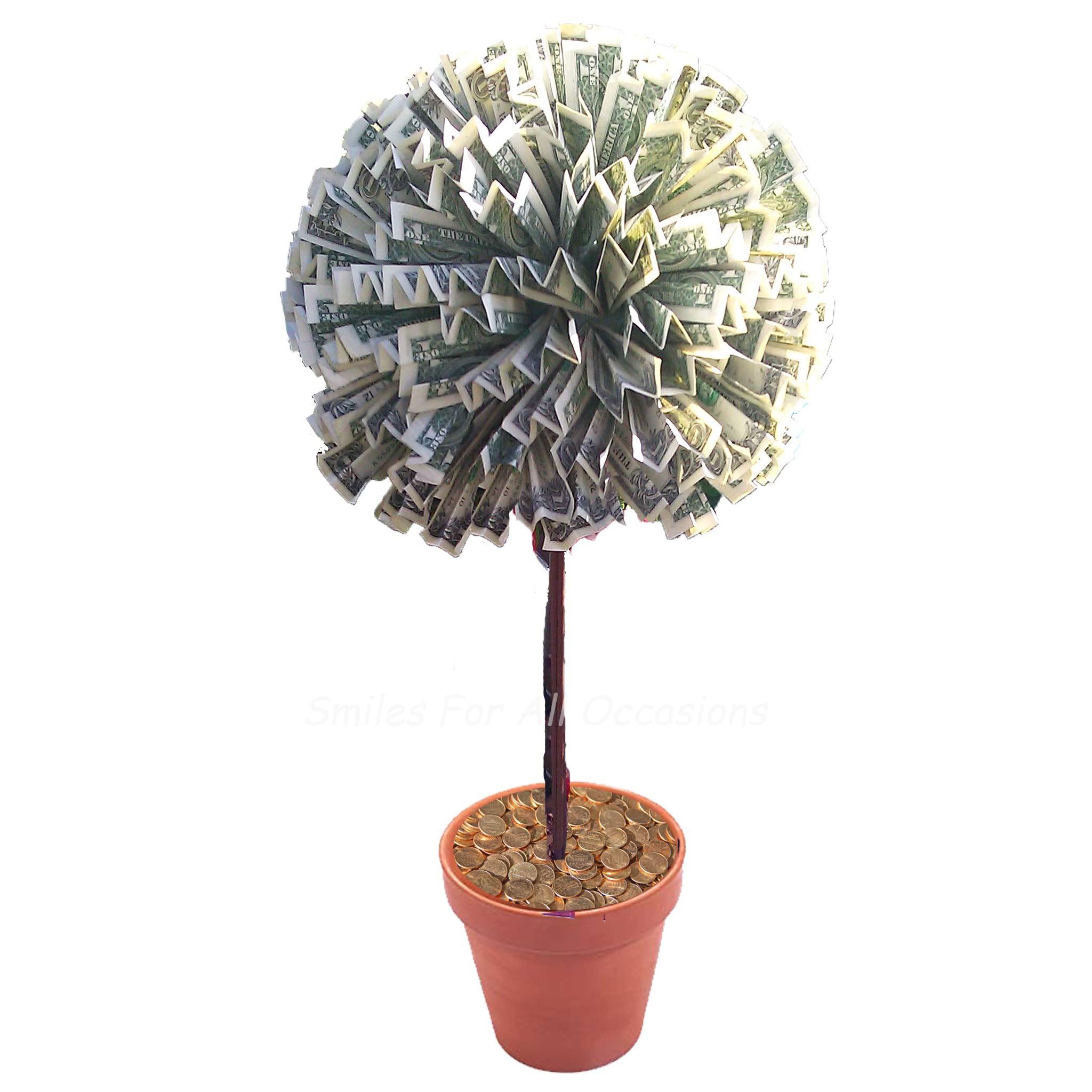 where can i buy a money tree holder