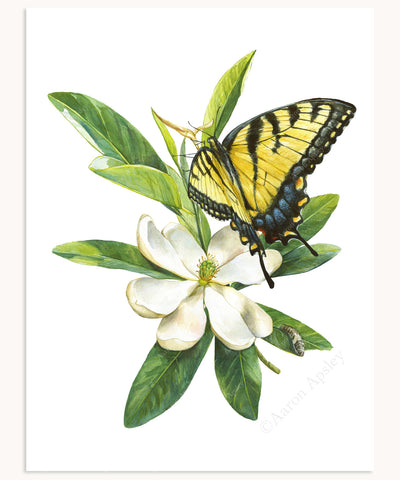 Monarch Butterfly & Swamp Milkweed Print – Aaron Apsley Artwork